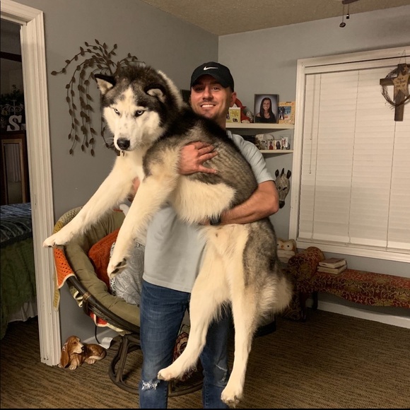 Meet your Posher, Blane - Picture 2 of 3